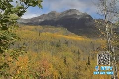 TV Content Image
